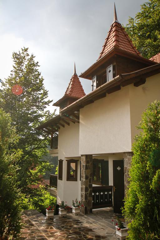 Vista