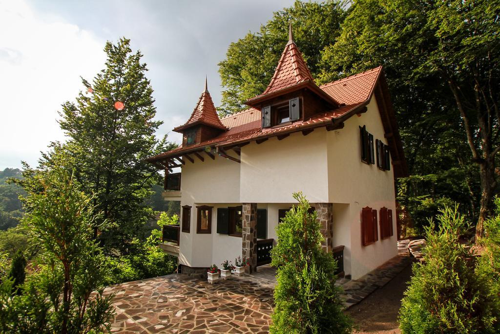 Vista Apartment Sovata